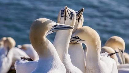 华体会科室-欧足联颁奖：切尔西将帅收获颇丰